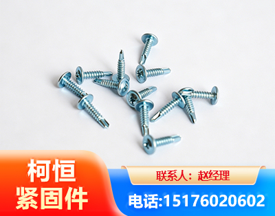 延边华司钻尾丝